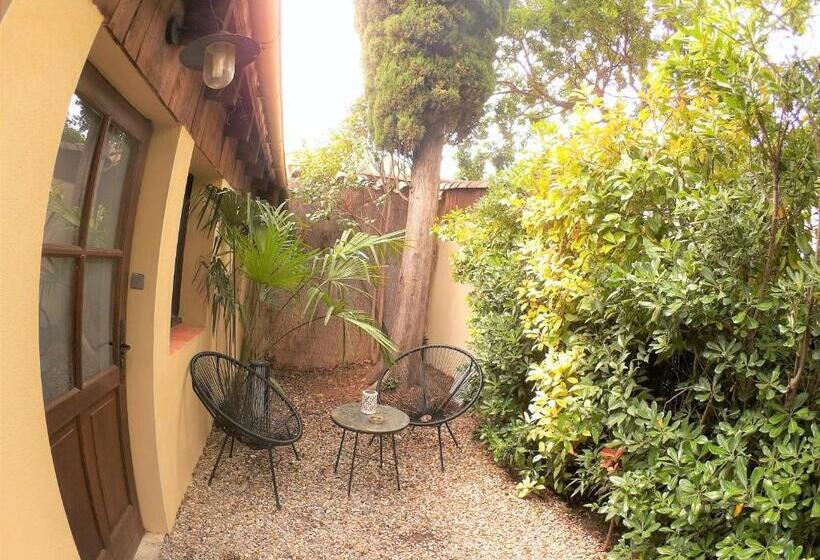 Номер Стандарт Вид на Сад, La Villa Carcassonne, Cité 8 Min à Pieds, Clim, Piscine, Full Wifi, Borne 7,5kw, Vélo élect, Parking
