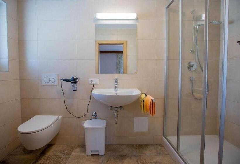 Апартаменты 1 Спальня, Gästehaus Alpenstern