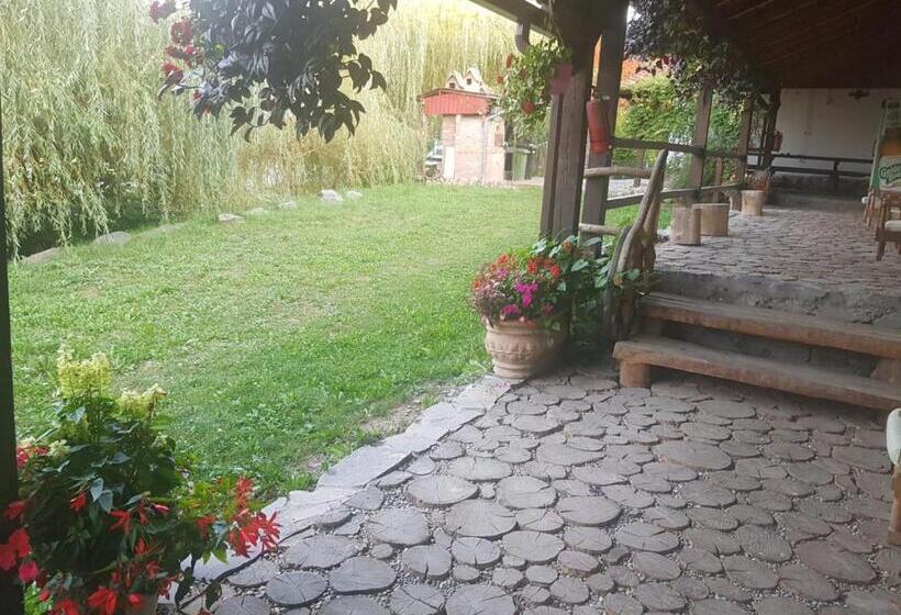 Номер Стандарт, Vila Sura Razoare