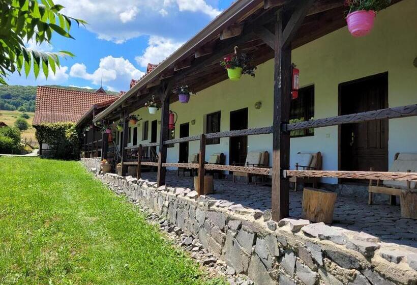 Номер Стандарт, Vila Sura Razoare