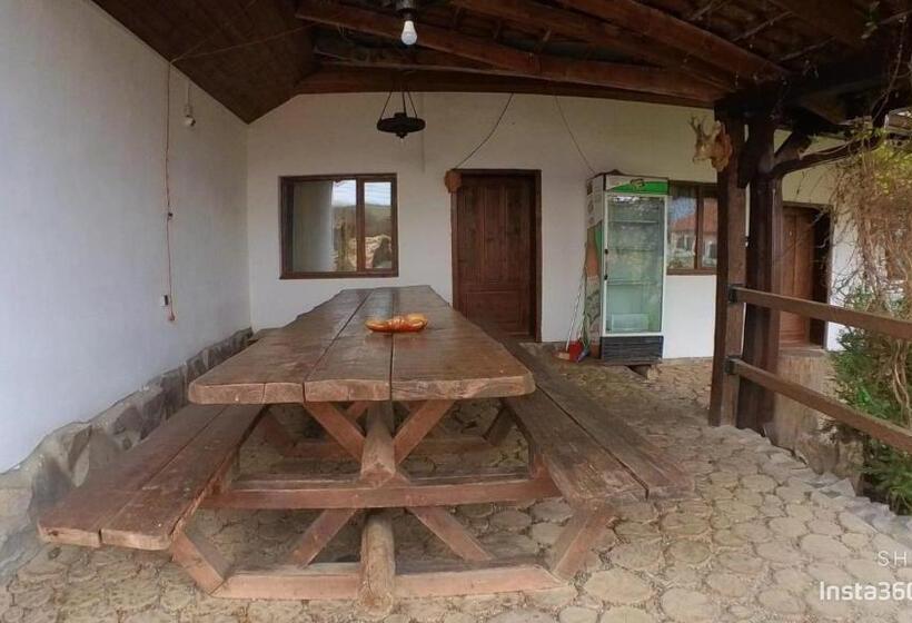 Номер Deluxe Кровать Кинг, Vila Sura Razoare