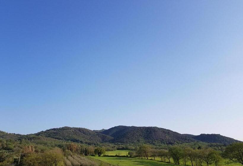 シングルデラックスルーム, Castello Di Casallia