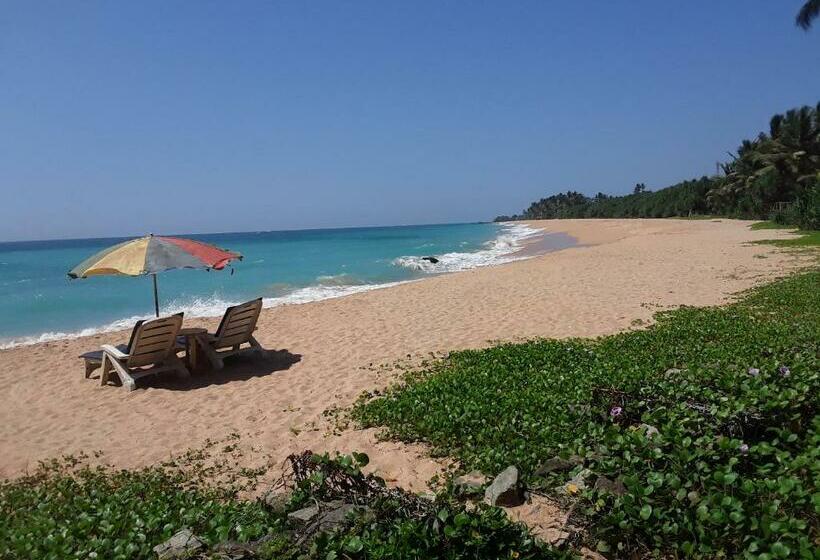 Номер Superior, Gold Sand Resort