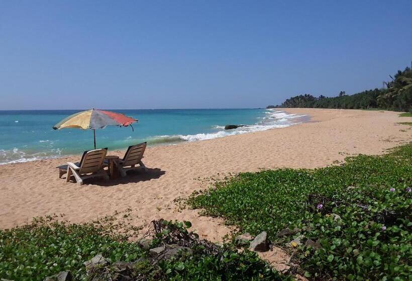 Трехместный Номер Deluxe, Gold Sand Resort