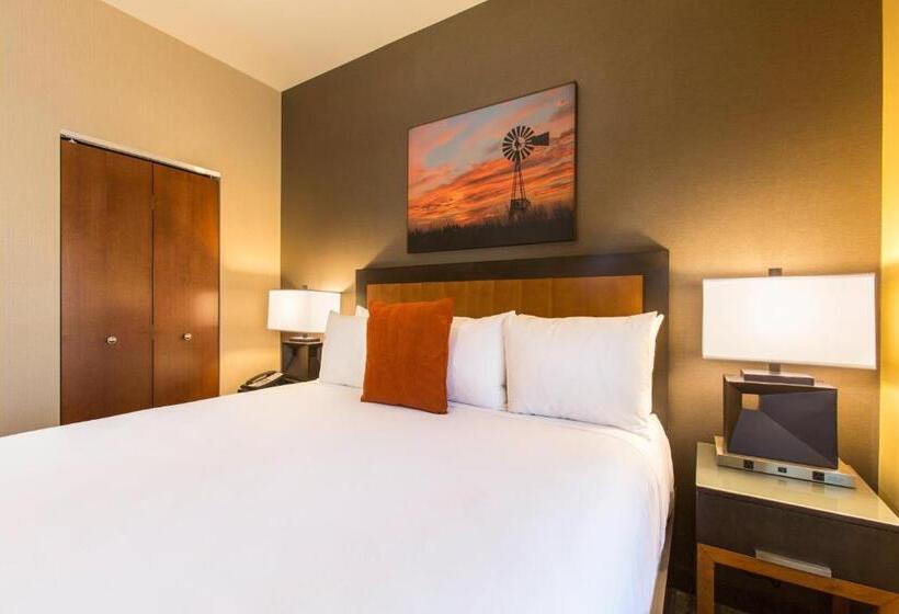 سوئیت با تخت بزرگ, Cambria Hotel Plano   Frisco