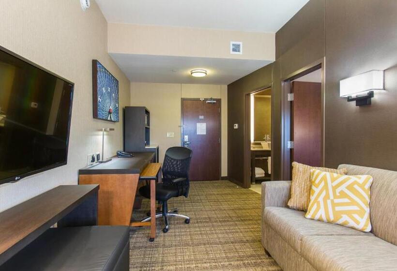 سوئیت با تخت بزرگ, Cambria Hotel Plano   Frisco