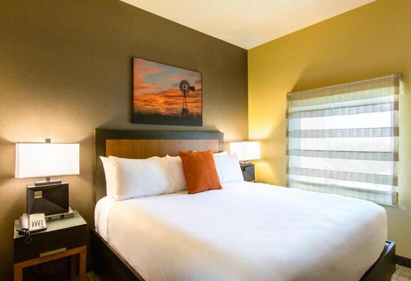 سوئیت با تخت بزرگ, Cambria Hotel Plano   Frisco