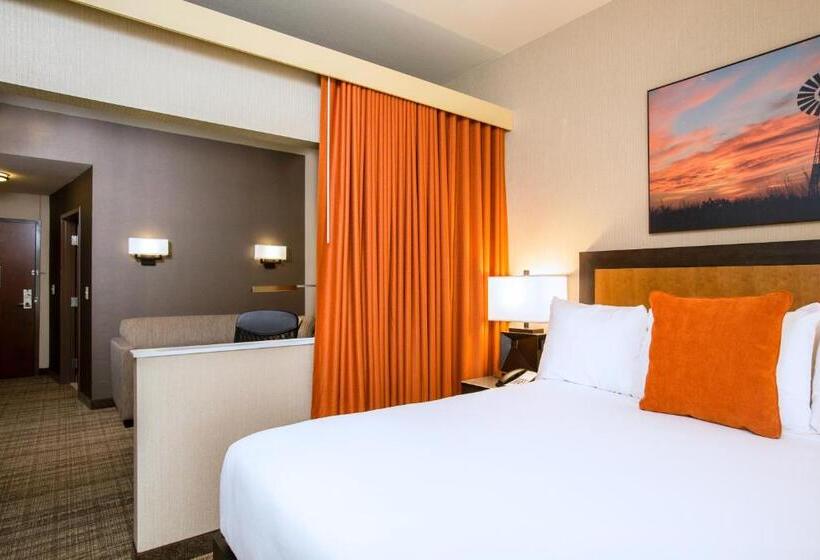 سوئیت برای معلولان, Cambria Hotel Plano   Frisco
