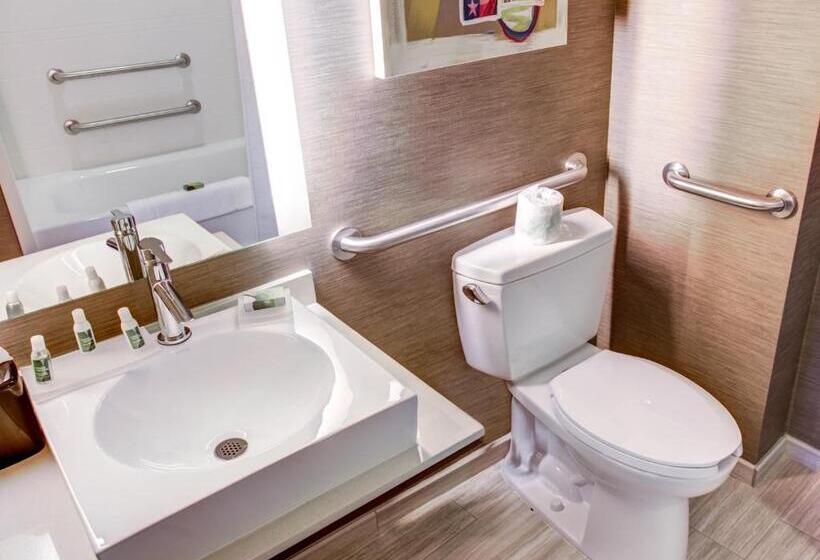 اتاق استاندارد با تخت بزرگ برای معلولان, Cambria Hotel Plano   Frisco