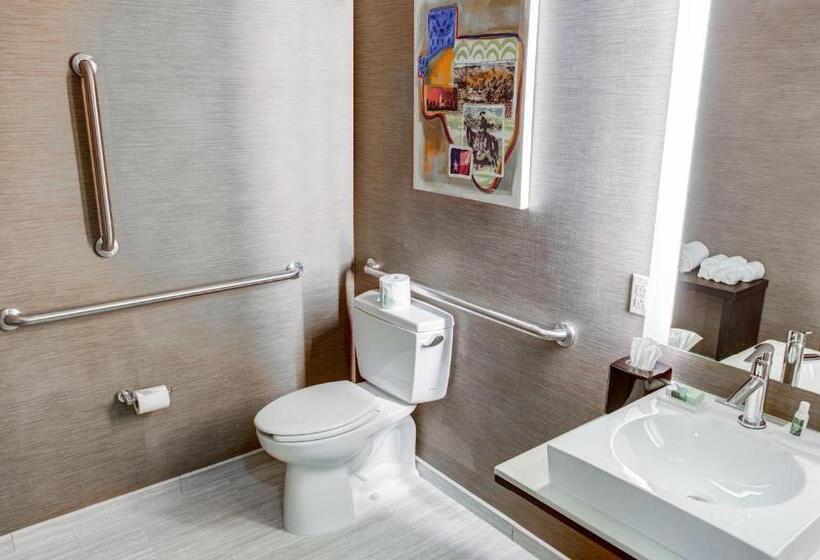 اتاق استاندارد با تخت بزرگ برای معلولان, Cambria Hotel Plano   Frisco