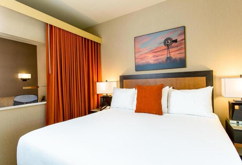 اتاق استاندارد با تخت بزرگ برای معلولان, Cambria Hotel Plano   Frisco