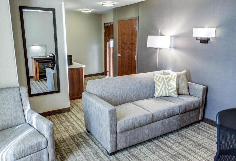 سوئیت اجرایی با تخت کینگ, Cambria Hotel Plano   Frisco