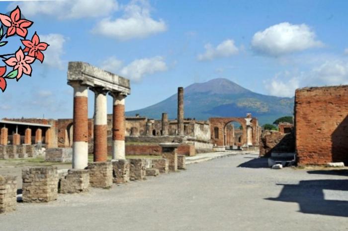 Номер Стандарт, Pompei House
