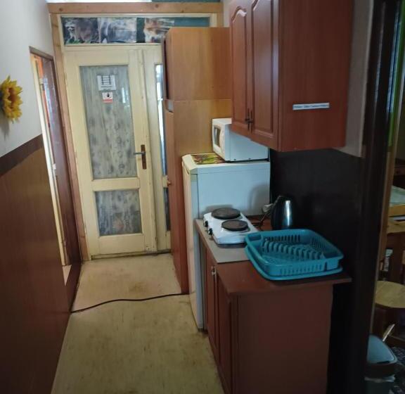 Четырехместный Номер Стандарт, Turistika Ubytovňa Sivá Brada