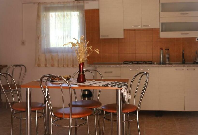 Апартаменты 2 Спальни, Casa De Vacanta Family & Friends