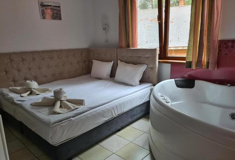 Номер Стандарт с Гидромассажем, Vila Kalvachevi
