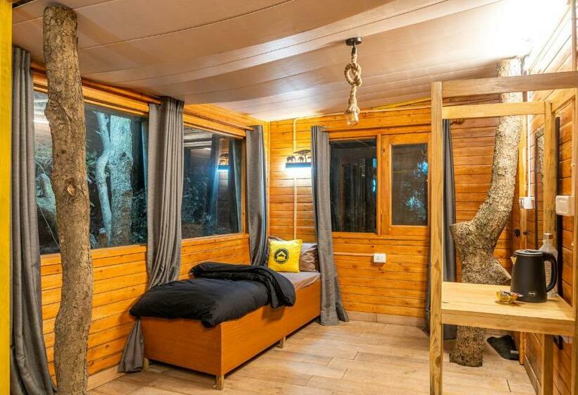 חדר דלוקס לשלושה עם נו לגינה, Lushtree Backpackers   Hostel & Cafe