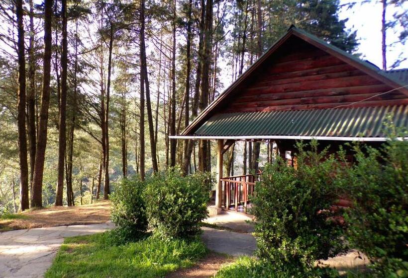 Семейный Номер, Cabañas El Rincón De Pancho
