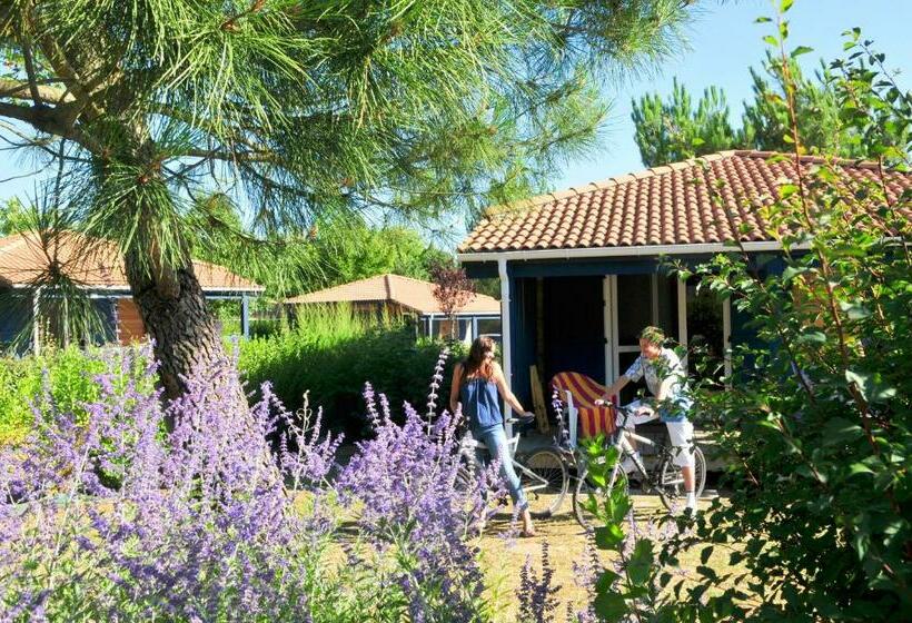 Шале 1 Спальня, Azureva Vendée Océan