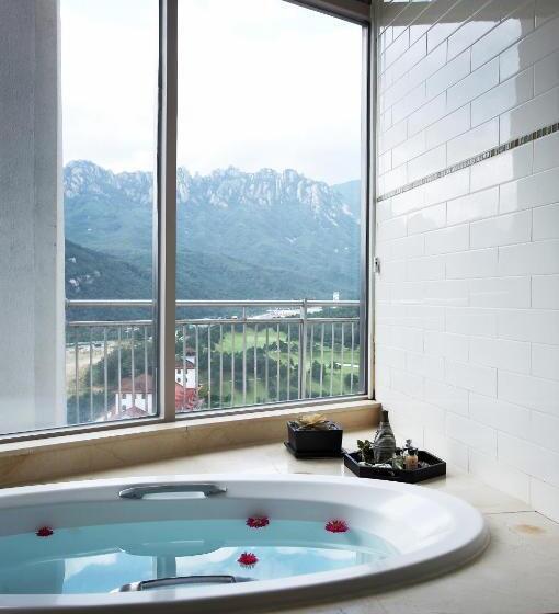 Люкс Superior, Seorak I Park Condo
