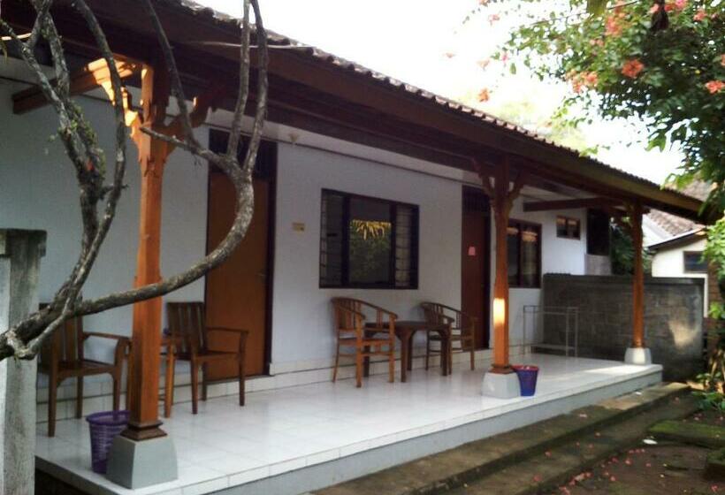 Номер Стандарт, Madra Homestay