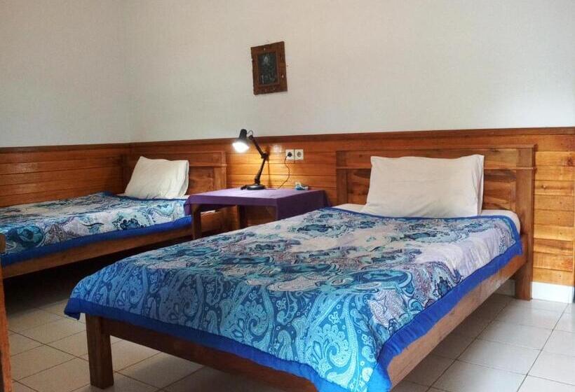 Номер Стандарт, Madra Homestay