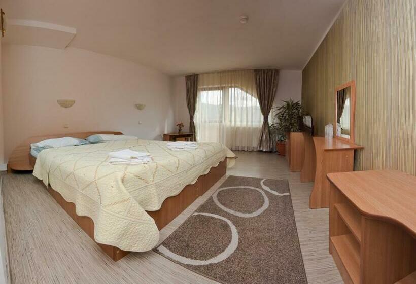 스탠다드 룸, Pensiunea Moldova