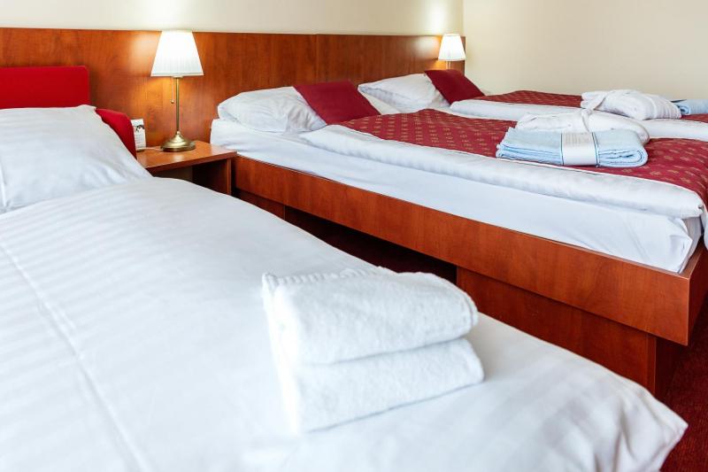스탠다드 발코니 룸, Senec Aqua Resort