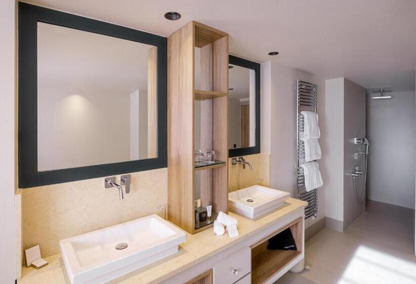 Апартаменты Пентхаус 1 Спальня, Les Suites De La Potiniere