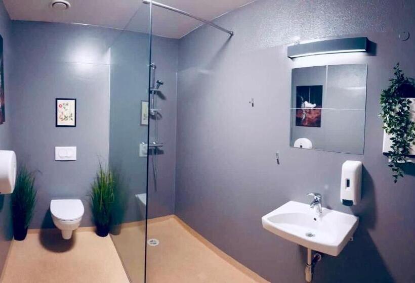 تختخواب در اتاق مشترک, Bus Hostel Reykjavik   Reykjavik Terminal