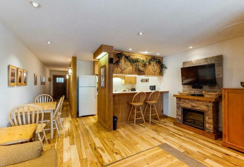 带1个卧室的公寓, Cozy Condo In Ski Trails
