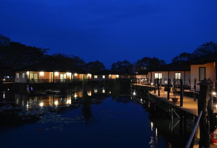 سوئیت با بالکن, Viewpoint Ecolodge