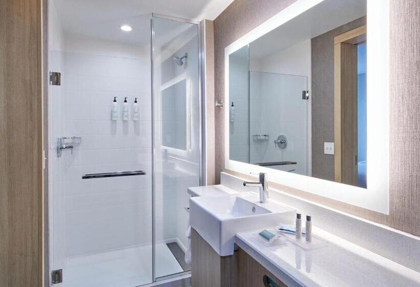 Студио Стандарт Кровать Кинг, Springhill Suites By Marriott Detroit Dearborn