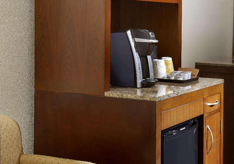 Номер Премиум, Hilton Garden Inn Roanoke