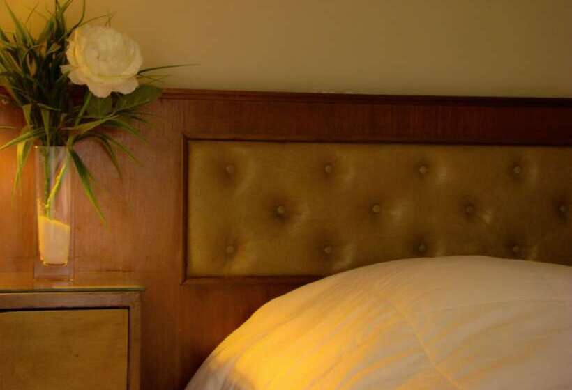اتاق استاندارد یک نفره, Petit Recoleta Suites