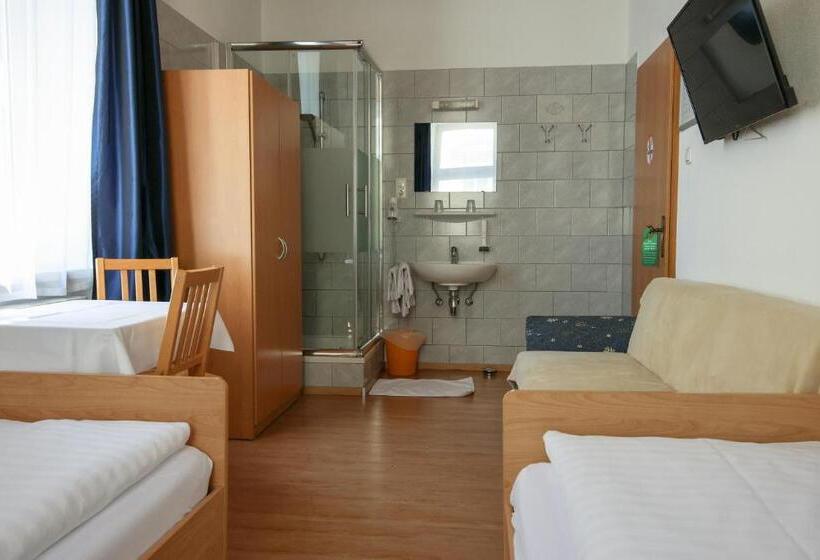 Standaardkamer met Gedeelde Badkamer, Wilder Mann