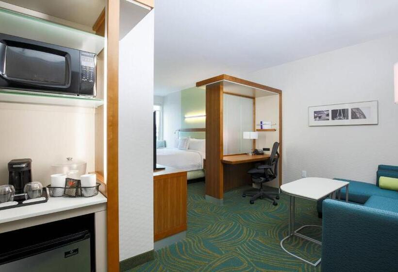Люкс Кровать Кинг, Springhill Suites By Marriott San Jose Airport