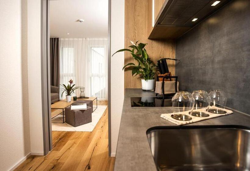 Апартаменты 1 Спальня, Lms   La Maison Suisse   Döttingen