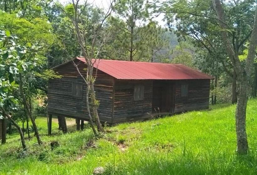 Habitación Deluxe, Posada San Lázaro