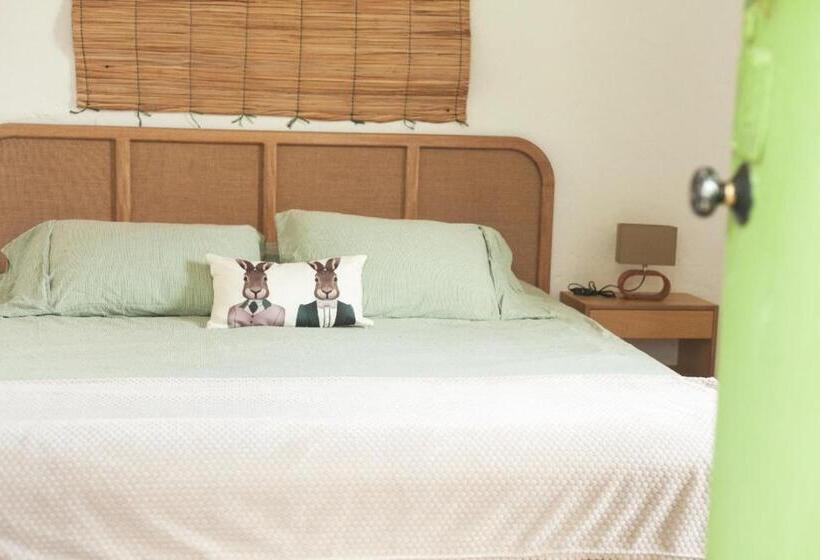 스탠다드 룸 킹사이즈 침대, La Liebre Bed And Breakfast