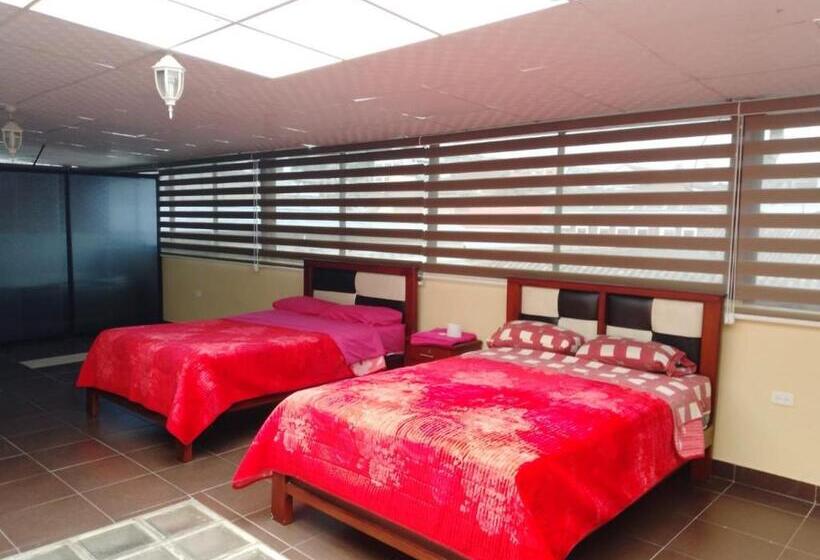 스탠다드 스튜디오, Hostal Mediodía Matriz