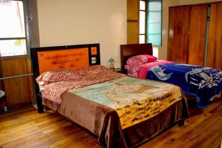 이코노이 4인룸, Hostal Mediodía Matriz