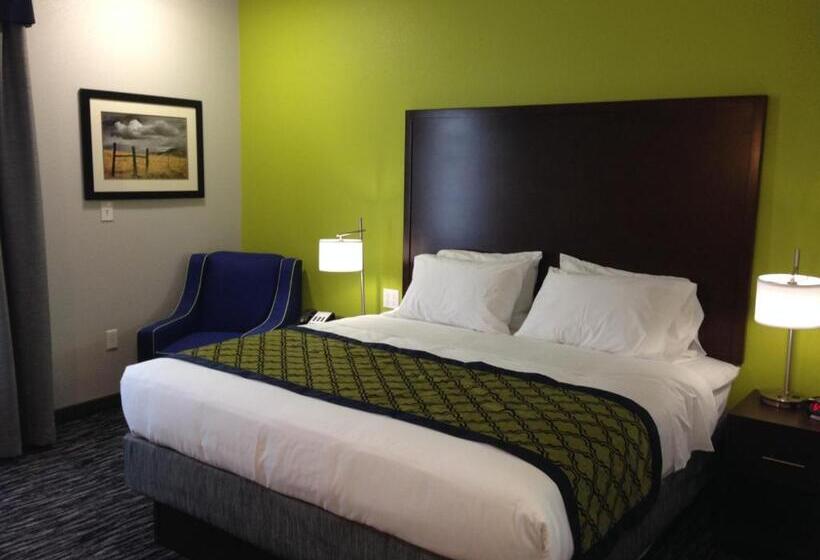 Стандартный Номер Кровать Кинг, Hawthorn Extended Stay By Wyndham Midland