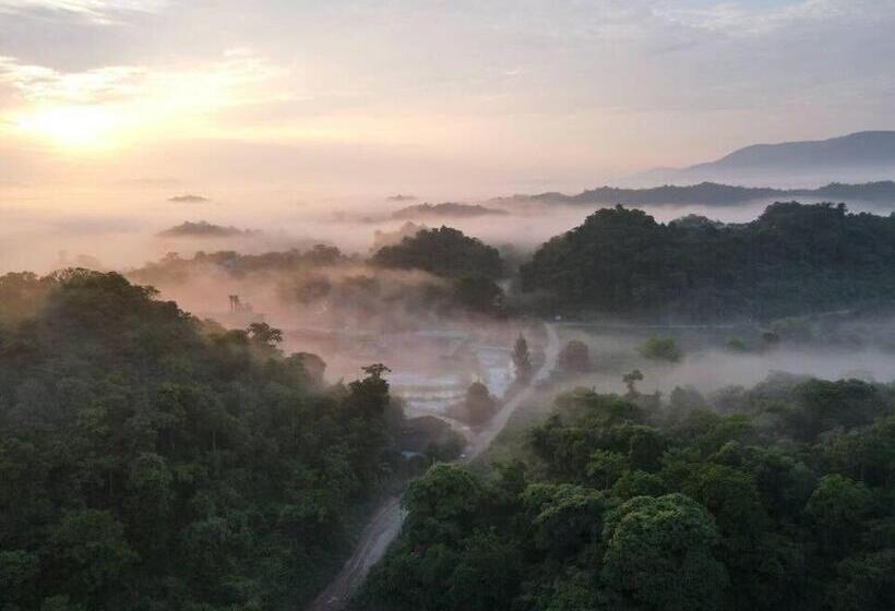 Четырехместный Номер Superior, The X10 Nordic Tent And Glamping Pool Villa Khaoyai เขาใหญ่   Sha Certified