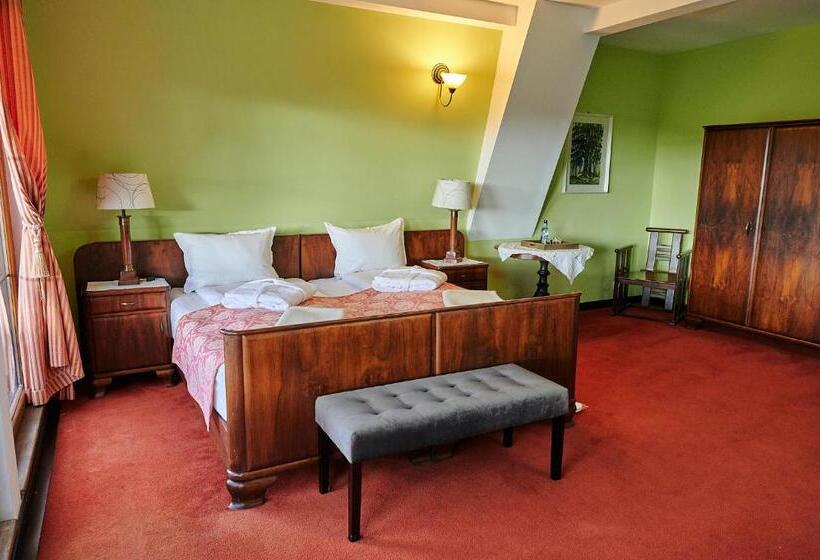 Номер Deluxe, Saciova Hills