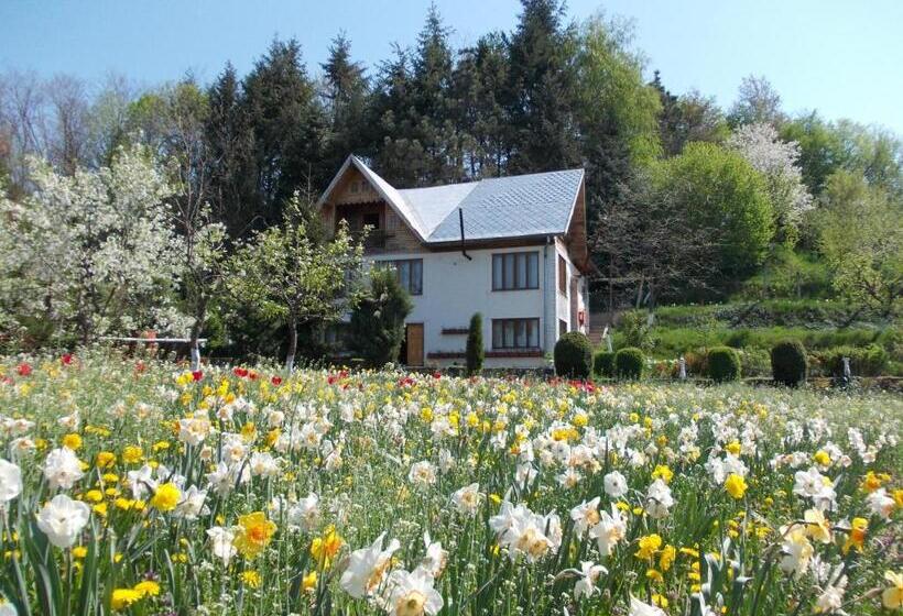 클래식 4인 룸, Pensiunea Paradis