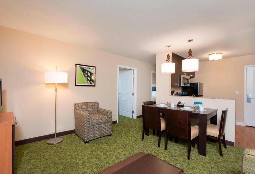 Люкс 2 Спальни, Towneplace Suites By Marriott Lexington South/hamburg Place