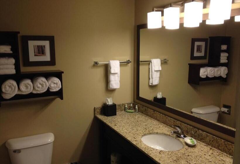 Стандартный Номер Кровать Кинг, Grandstay Hotel & Suites   Glenwood