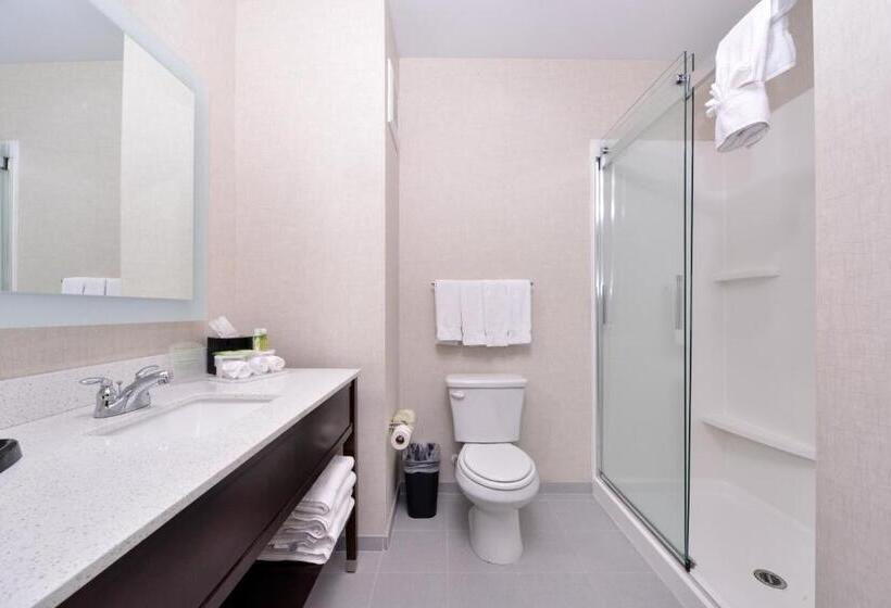 Номер Deluxe, Holiday Inn Express Hotels & Suites Loma Linda, An Ihg