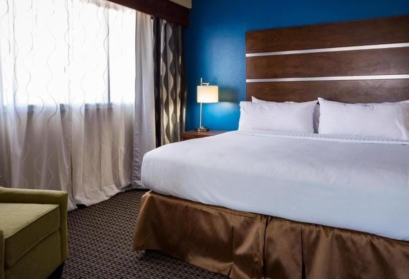 Номер бизнес-класса, Holiday Inn Houston Downtown, An Ihg